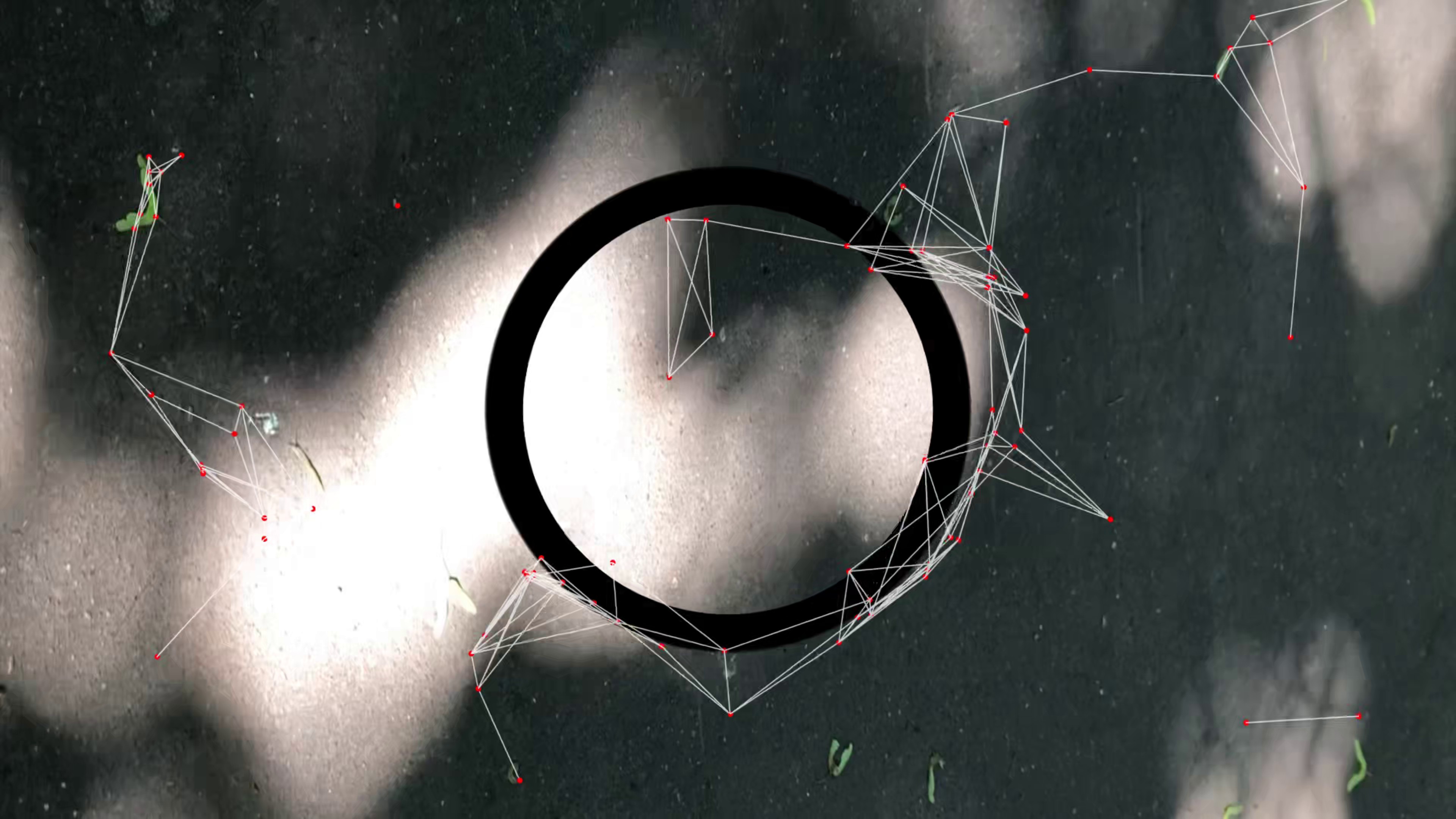 features-tracking-summer